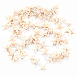 Miniature Fairy Garden Beach Starfish Shells (90 Pieces)