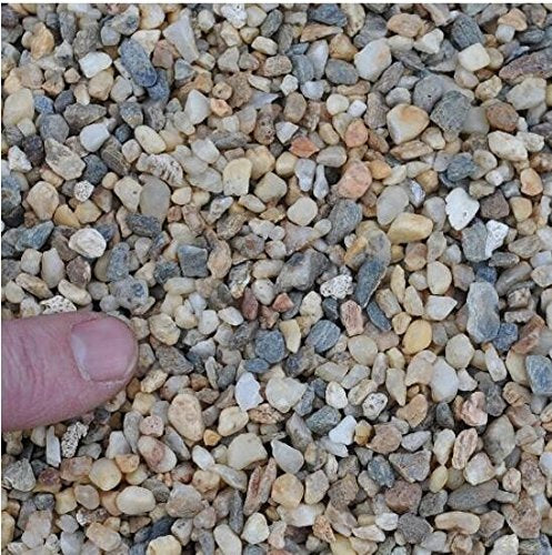 Tiny Miniature Fairy Garden Beach Rock Pebbles (1 Pound Bag)